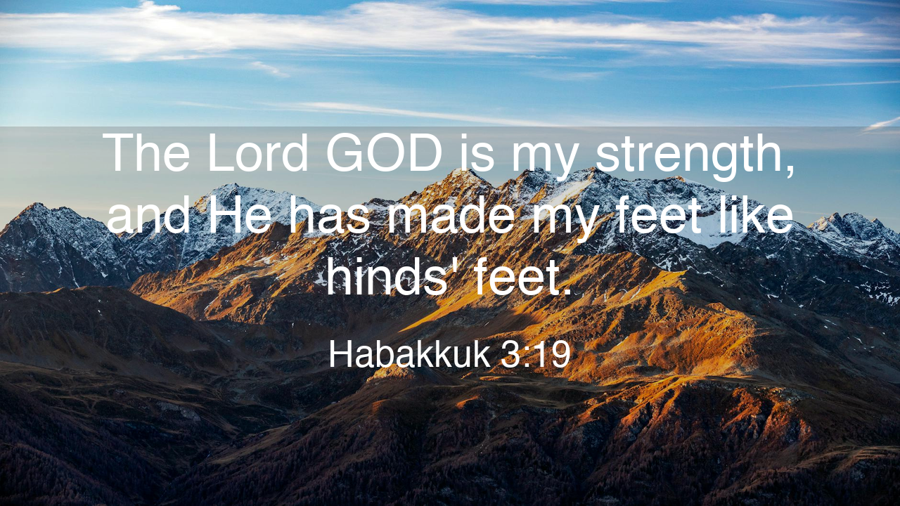 Memory Verse for the Week